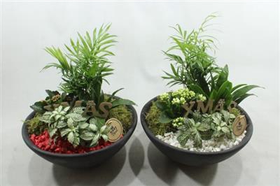 <h4>0218 EBBI INDOOR</h4>