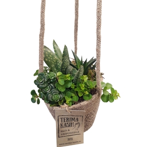 JH13SCRP Jute hangmand mini succulentmix