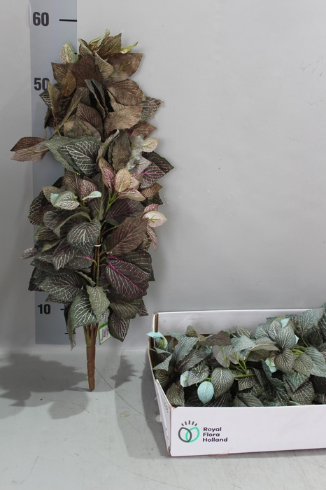 <h4>KUNSTBLOEM H%</h4>