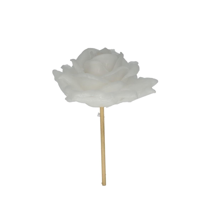 <h4>Bijsteker 25cm Wax roos d10cm</h4>