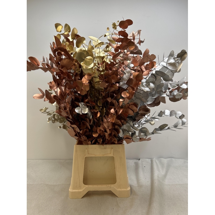 <h4>EUC CINEREA PB VERF METALMIX</h4>