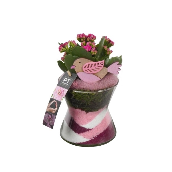 <h4>PTIG6874 Arrangement Indoor in glas vaas</h4>