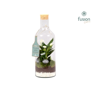Green Bottle Fles Medium met Anthurium