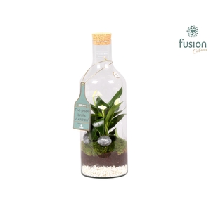 Green Bottle Fles Medium met Anthurium