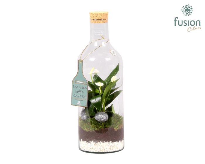 <h4>Green Bottle Fles Medium met Anthurium</h4>
