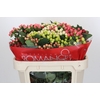 Hypericum Rainbow Romance Spray