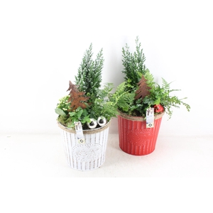 arr2 JS - Zink emmer XL red/white