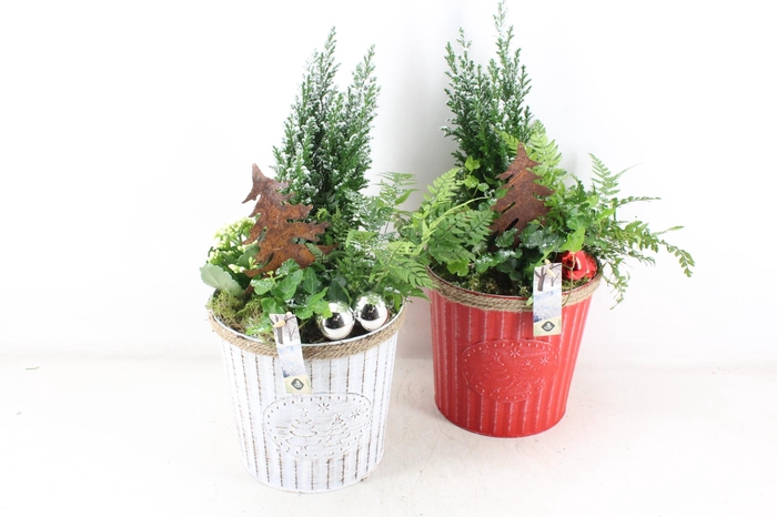 <h4>arr2 JS - Zink emmer XL red/white</h4>