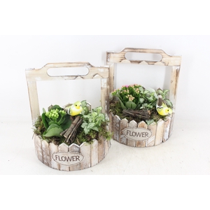 arr2 TD - Hout planter half rond - wit/roze