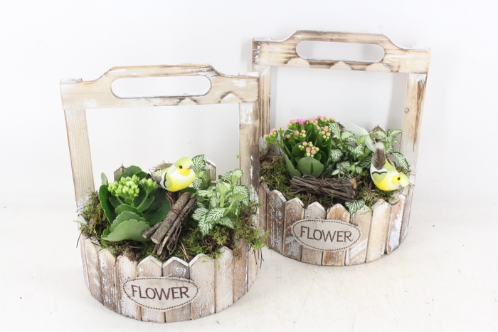 <h4>arr2 TD - Hout planter half rond - wit/roze</h4>