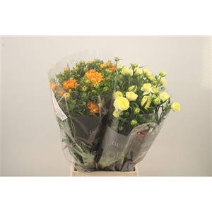 Ran N Moderna Mixed In The Bucket