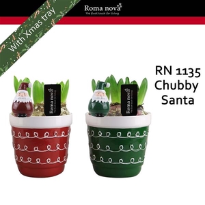 Arrangementen Hyacinthus 6%