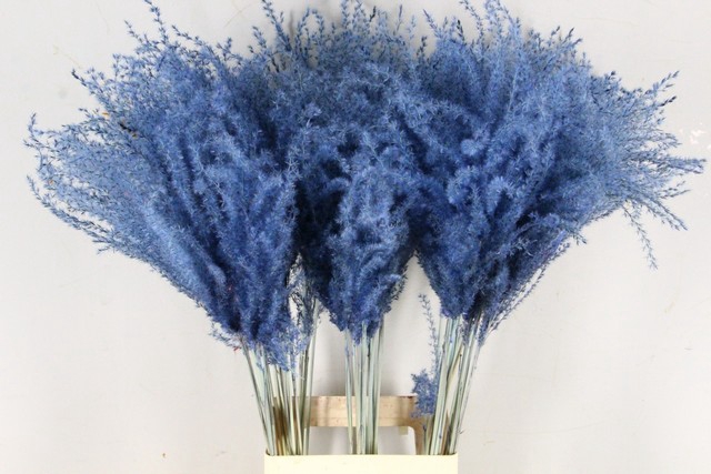 <h4>Dried miscanthus paint blue</h4>
