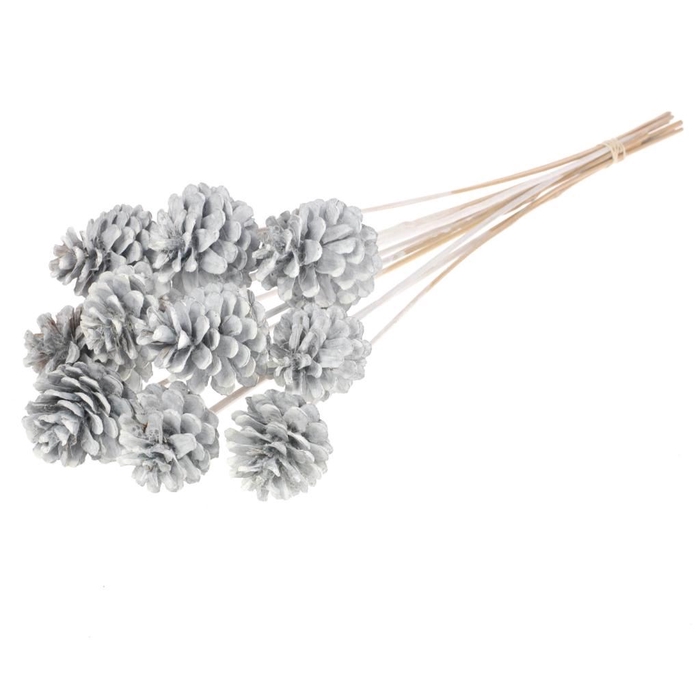 <h4>Pine cone 5-7cm o/s 10pc white misty</h4>