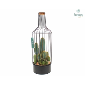 Fles metaal zwart Large met Cactussen