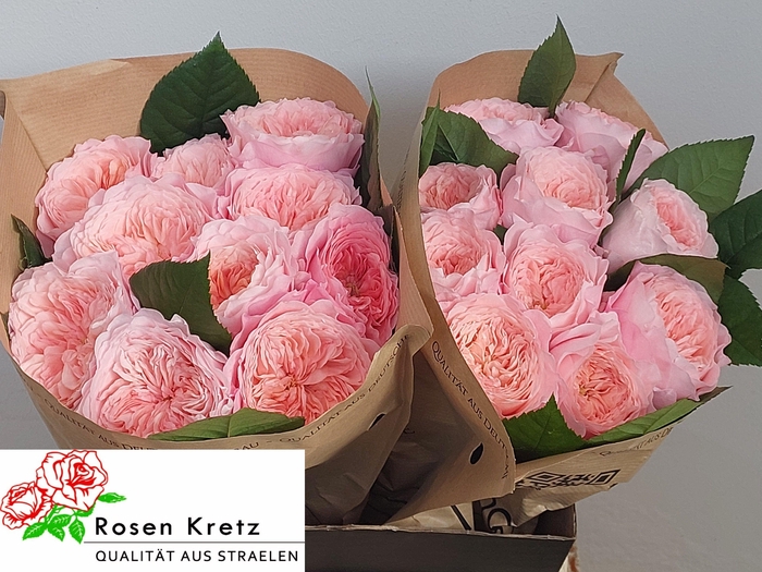 <h4>R GR MAYFIELD!</h4>