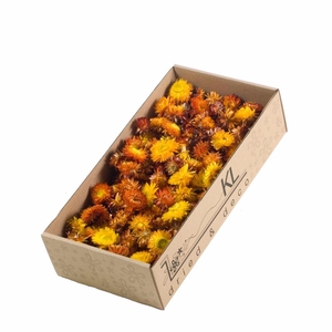 Helichrysum Heads 100gr Sb Natural Orange
