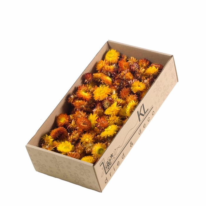 <h4>Helichrysum Heads 100gr Sb Natural Orange</h4>