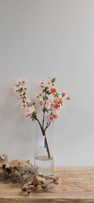 <h4>CHERRY BLOSSOM BUNDLE PINK BK770007 L40</h4>