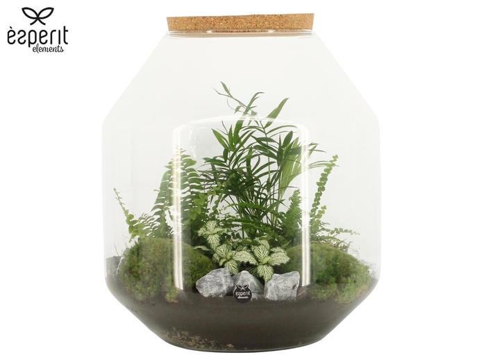 <h4>90847: Terrarium arrangement</h4>