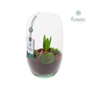 Green Bottle Isabella Medium met Hyacinten