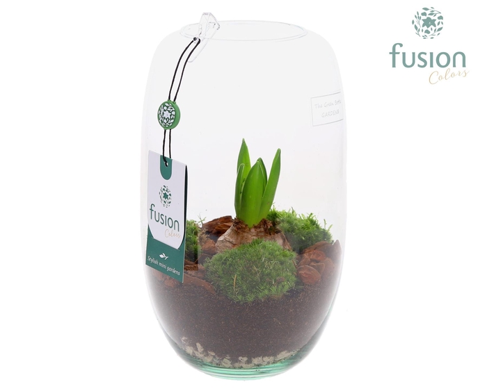 <h4>Green Bottle Isabella Medium met Hyacinten</h4>