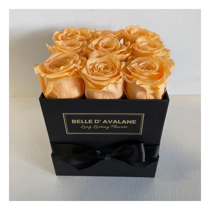 <h4>Box vk 15cm zwart-perzik</h4>