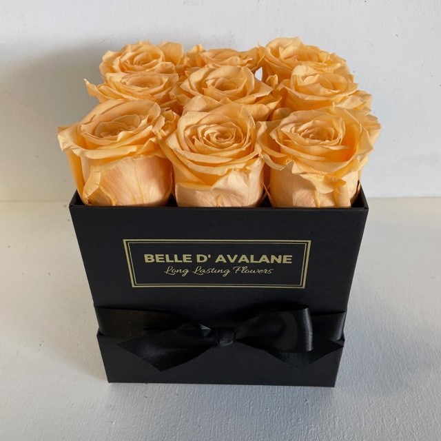 Box vk 15cm zwart-perzik