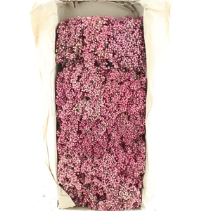 Dried Pepper Berries Pink (naturel)