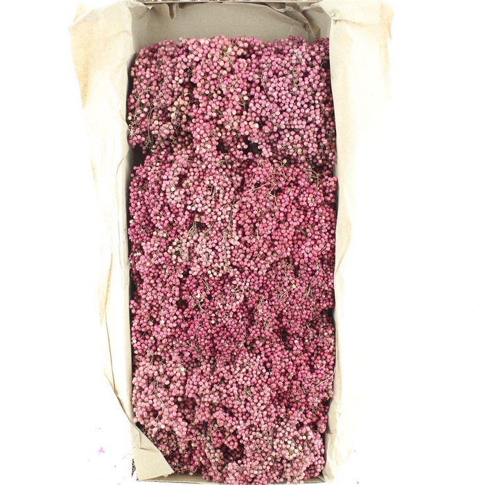 <h4>Dried Pepper Berries Pink (naturel)</h4>