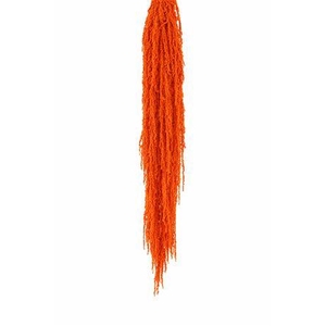 Preserved amaranthus paint orange