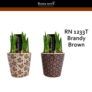 Narcis Rom 1233T Brandy Brown