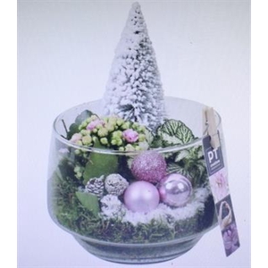 3535 ROZE GLAASJE BOOMPJE