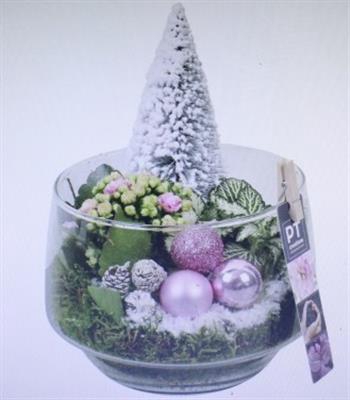 <h4>3535 ROZE GLAASJE BOOMPJE</h4>