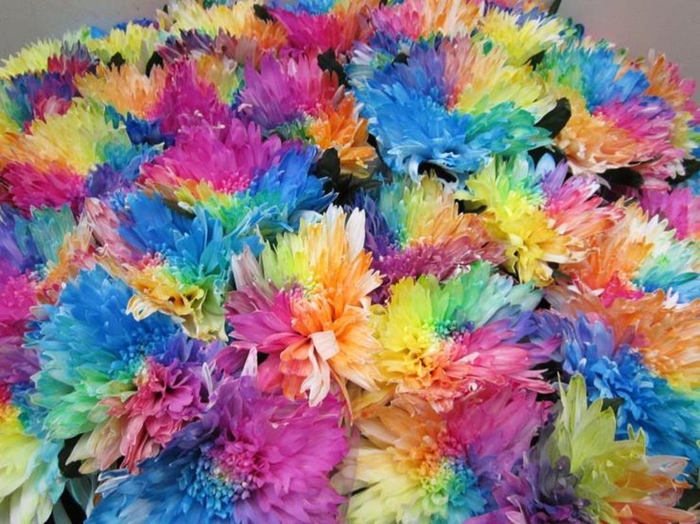 <h4>Chr G Undercover Rainbow</h4>