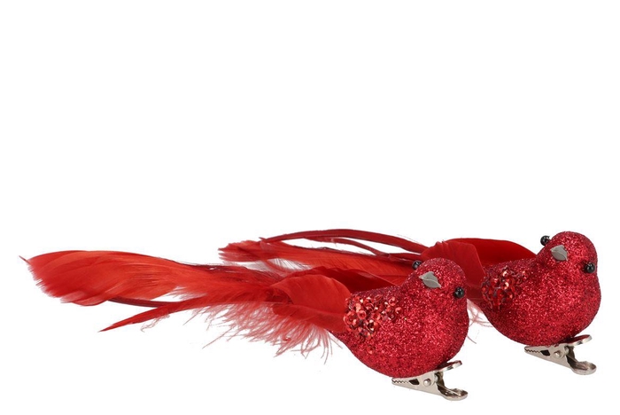 <h4>Deco Shine Bird Clip Jolly Red 16cm P/2</h4>