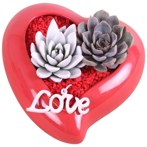 Valentine Arr. Succulent Ceramic Heart Shape Red Ø20cm 2PP