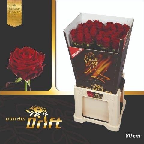 <h4>Rosa gr Red Naomi</h4>