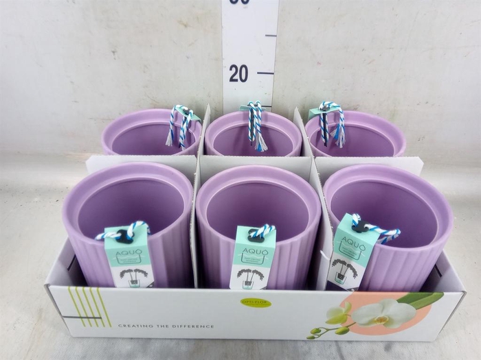 <h4>Pot   ...Keramische H%</h4>