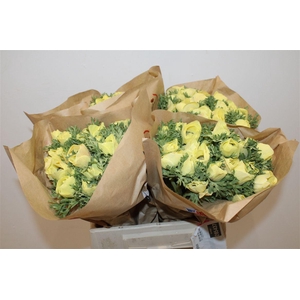 Anem Marianne Powder Yellow