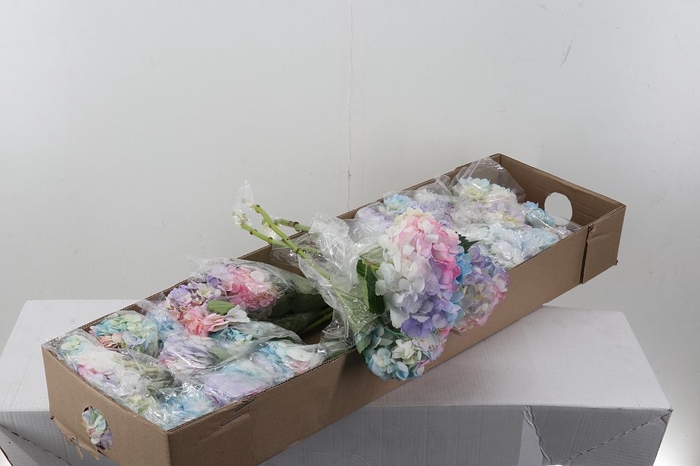 <h4>Hydr Pastel Pink Rainbow Box</h4>