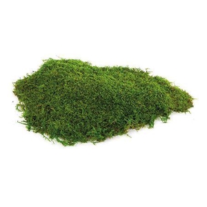 Flat Moss Green 500 Gr