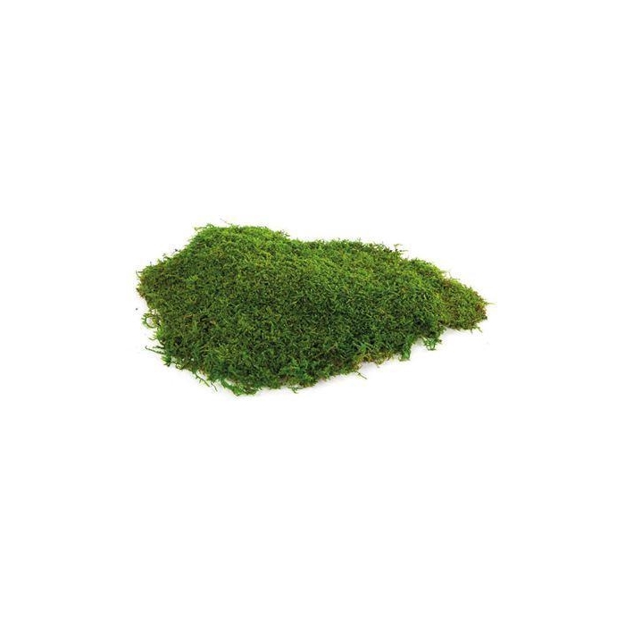 <h4>Flat Moss Green 500 Gr</h4>