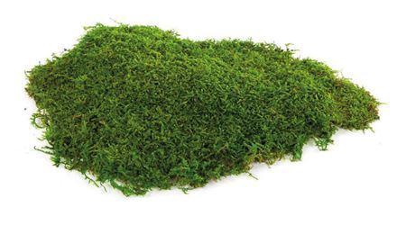 <h4>Flat Moss Green 500 Gr</h4>