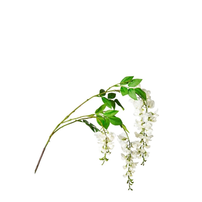 <h4>Wisteria 112cm</h4>