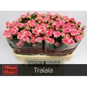 R TR TRALALA