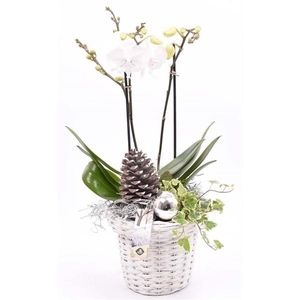 Wilg bloempot wit 18cm