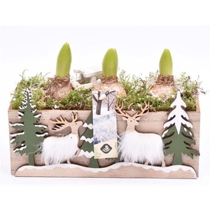 Hout rechthoek met decor 24x10cm