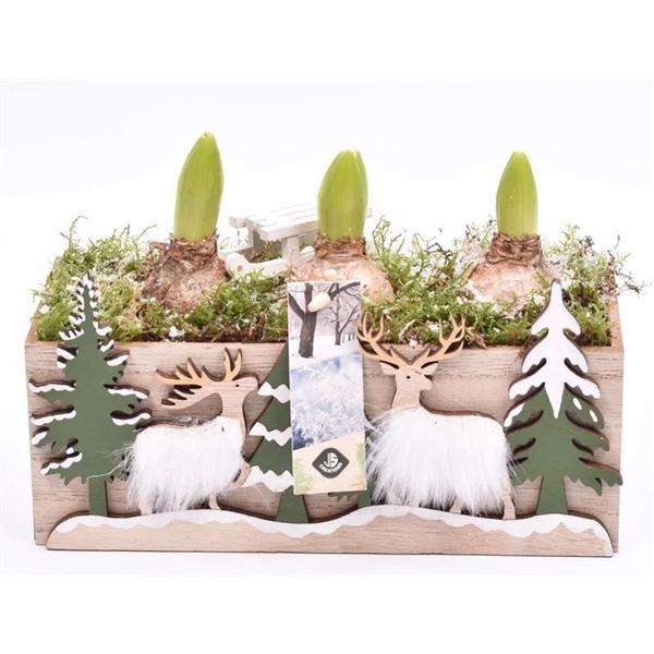 <h4>Hout rechthoek met decor 24x10cm</h4>