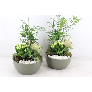 arr2 PL - Ker. lana groen 285/6 - wit